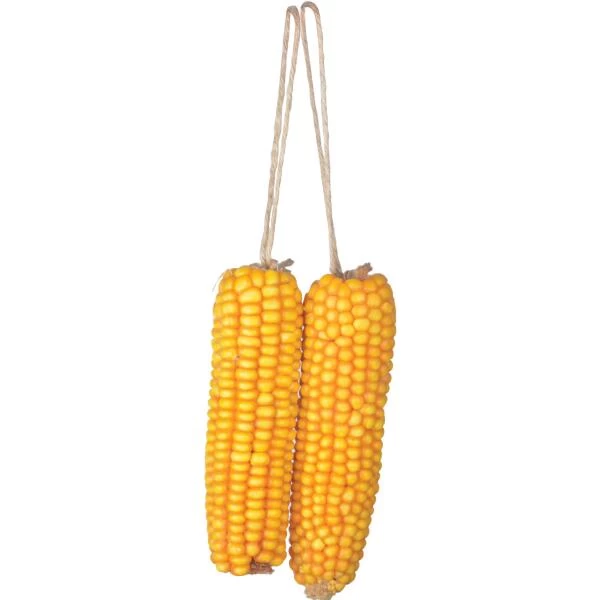ESSCHERT DESIGN Gedroogde Maiskolven - Set Van 2 Stuks 3 ESSCHERT DESIGN Gedroogde Maiskolven - Set Van 2 Stuks
