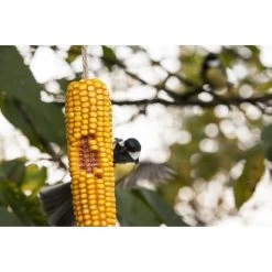 ESSCHERT DESIGN Gedroogde Maiskolven - Set Van 2 Stuks 7 ESSCHERT DESIGN Gedroogde Maiskolven - Set Van 2 Stuks -Garden Pet & Animal Winkel 1561972434 2 600