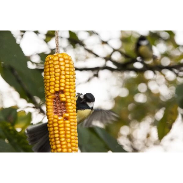 ESSCHERT DESIGN Gedroogde Maiskolven - Set Van 2 Stuks 4 ESSCHERT DESIGN Gedroogde Maiskolven - Set Van 2 Stuks - Afbeelding 2