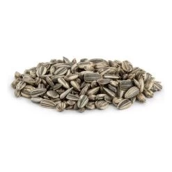 Gestreepte Zonnebloempitten - 12,50 Kg