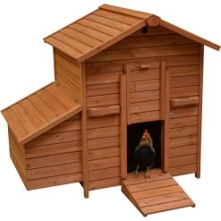 Woodland Kippenhok Goldie Bruin 121 × 81,6 × 109 Cm