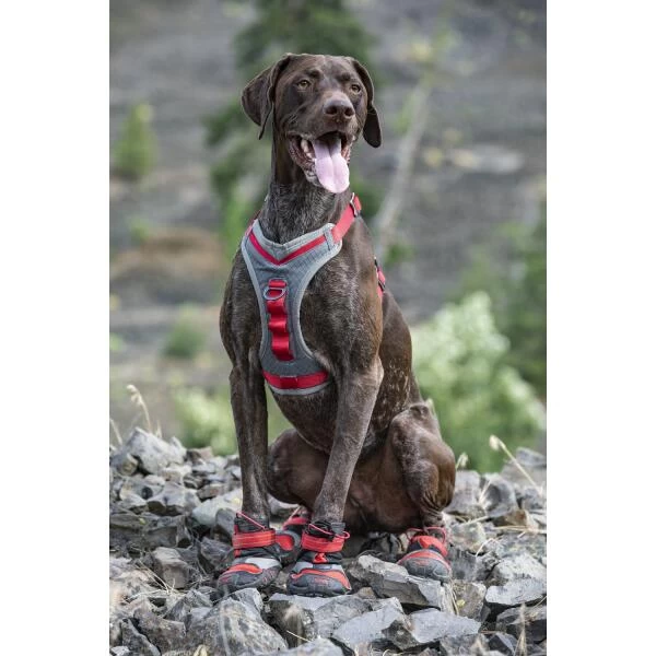 Hondenschoenen Kurgo Blaze Cross Shoe Rood - L 4 Hondenschoenen Kurgo Blaze Cross Shoe Rood - L - Afbeelding 2