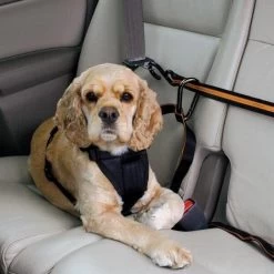 Kurgo Veiligheidsgordel Met Riem En Leiband - Zwart/oranje