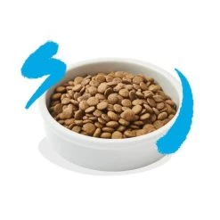 Edgard & Cooper Kattenvoer Adult Met Verse Zalm - 4 Kg -Garden Pet & Animal Winkel 1676991613 2 600