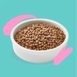 Edgard & Cooper Kattenvoer Kitten Met Verse Scharrelkip En Eend - 2 Kg -Garden Pet & Animal Winkel 1677148007 1 600