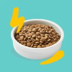 Edgard & Cooper Kattenvoer Adult Met Verse Scharrelkalkoen En Kip - 2 Kg -Garden Pet & Animal Winkel 1677151805 3 600