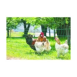 Afrasteringsnet Kippen - L 50 M × H 1,12 M