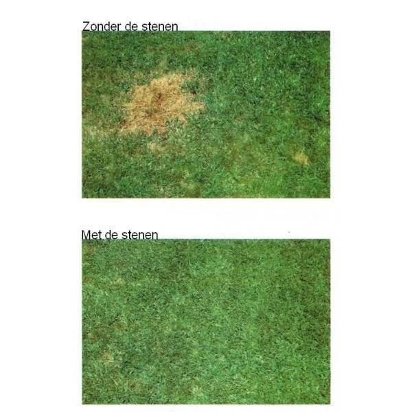 Stenen Tegen Urineplekken In Gazon 4 Stenen Tegen Urineplekken In Gazon - Afbeelding 2