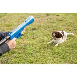 Ballenschieter - Blauw -Garden Pet & Animal Winkel beeztees fetch ballenschieter hondenspeelgoed blauw 60x20x8cm 1601016254 38 600