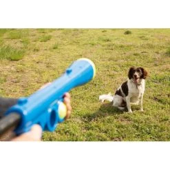 Ballenschieter - Blauw -Garden Pet & Animal Winkel beeztees fetch ballenschieter hondenspeelgoed blauw 60x20x8cm 1601016254 39 600