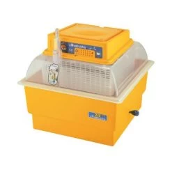 Broedmachine Voor 24 Kippeneieren