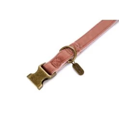 Halsband Hond 'Velura' Fluweel Roze 35-50 Cm - Designed By Lotte -Garden Pet & Animal Winkel designed by lotte velura hondenhalsband fluweel roze 35 50cmx20mm 1601016254 163 600