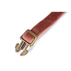 Halsband Hond 'Velura' Fluweel Roze 35-50 Cm - Designed By Lotte -Garden Pet & Animal Winkel designed by lotte velura hondenhalsband fluweel roze 35 50cmx20mm 1601016254 164 600