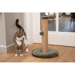 Krabpaal Yenna 35 × 35 × 60 Cm Groen - Designed By Lotte -Garden Pet & Animal Winkel designed by lotte yenna krabpaal groen 35x35x60 cm 1601016254 26 600