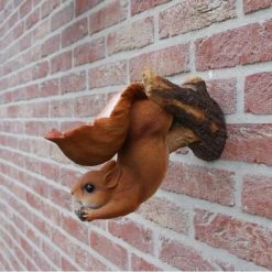 Eekhoorn Wandvoederschaal -Garden Pet & Animal Winkel eekhoorn wandvoederschaal 1522230162 1 600