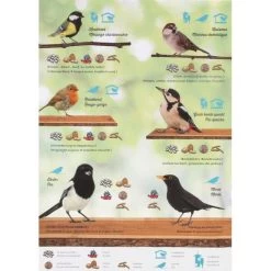 Emma's Garden Vogelvoeder Start Pack -Garden Pet & Animal Winkel emmas garden start pack 1636369560 4 600