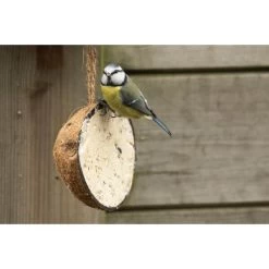 Emma's Garden Vogelvoeder Start Pack -Garden Pet & Animal Winkel emmas garden start pack vogelvoer 1638884419 1 600