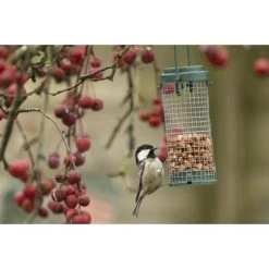 Emma's Garden Vogelvoeder Start Pack -Garden Pet & Animal Winkel emmas garden start pack vogelvoer 1638886127 1 600