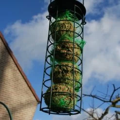 Emmer Met Mezenbollen - Set Van 35 Stuks -Garden Pet & Animal Winkel emmer met mezenbollen 1515415996 1 600