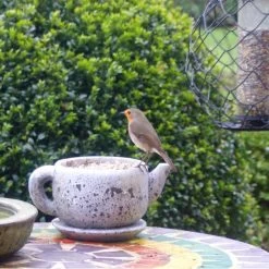 Gepelde Zonnebloempitten - 2 Kg -Garden Pet & Animal Winkel gepelde zonnebloempitten 2 kg 1577449956 1 600