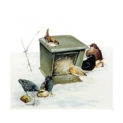 Grondvoedersilo In Houtbeton - Schwegler -Garden Pet & Animal Winkel grondvoedersilo schwegler 1553691680 2 600