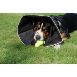 Hondenkap Comfy Cone Zwart - Large -Garden Pet & Animal Winkel hondenkap comfy cone l 1637679103 4 600