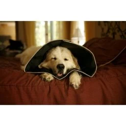 Hondenkap Comfy Cone Zwart - Extra Small -Garden Pet & Animal Winkel hondenkap comfy cone xs 1637680721 3 600