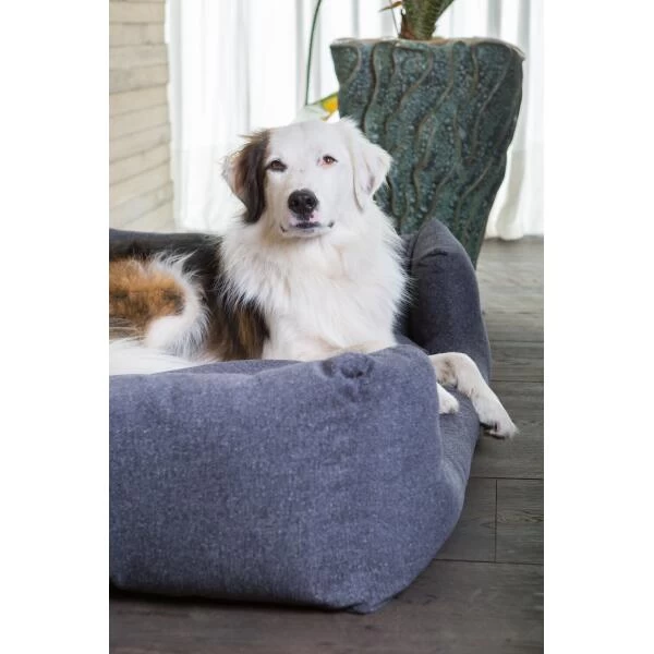 Hondenmand Fantail 'Snooze' 80 × 60 Cm - Epic Grey 4 Hondenmand Fantail 'Snooze' 80 × 60 Cm - Epic Grey - Afbeelding 2