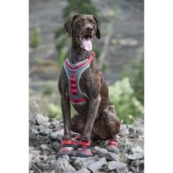 Hondenschoenen Kurgo Blaze Cross Shoe Rood - XL -Garden Pet & Animal Winkel hondenschoenen kurgo rood xl 1637241678 4 600