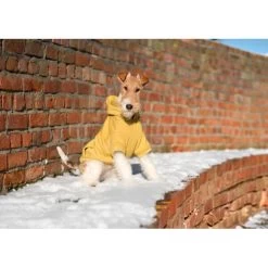 Hoodie Voor Honden Texas Amiplay - Geel -Garden Pet & Animal Winkel hoodie voor honden geel 1624268132 1 600