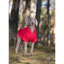 Hoodie Voor Honden Texas Amiplay - Rood -Garden Pet & Animal Winkel hoodie voor honden rood 1624268545 2 600
