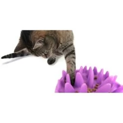 Interactieve Voederbak Kat -Garden Pet & Animal Winkel interactieve voederbak kat 1570089497 1 600