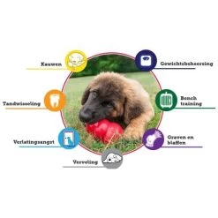 Kong Classic Rood Ø 5,5 Cm - M 7 Kong Classic Rood Ø 5,5 Cm - M -Garden Pet & Animal Winkel kong classic rood 55 cm m 1570536255 3 600