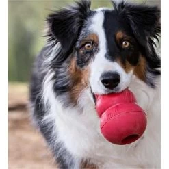 Kong Classic Rood Ø 8,5 Cm - XL -Garden Pet & Animal Winkel kong classic rood 85 cm xl 1570534953 1 600