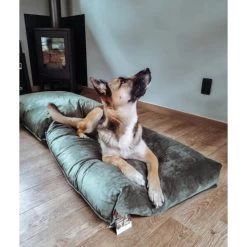 Ligkussen Nalino Hond Groen - Designed By Lotte -Garden Pet & Animal Winkel ligkussen nalino hond groen 1640001850 1 600