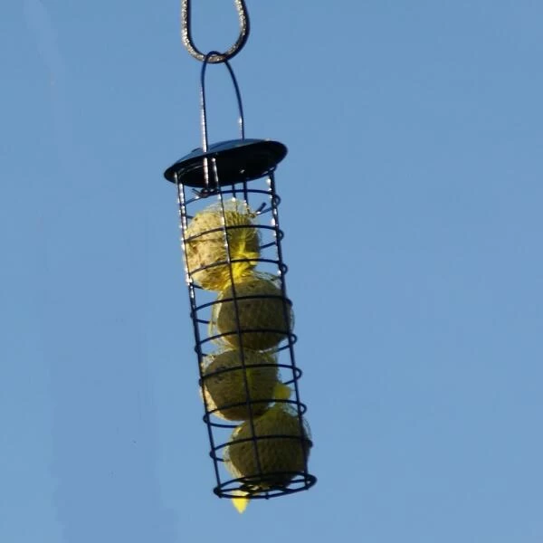 Mezenbollen Premium - Set Van 15 Stuks 4 Mezenbollen Premium - Set Van 15 Stuks - Afbeelding 2