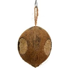 Opgevulde Kokosnoot - Vetten En Zaden Met Drie Gaten