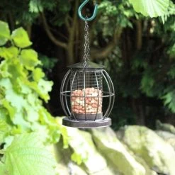 Pindavoedersilo - Hoogte 14,5 Cm -Garden Pet & Animal Winkel pindavoedersilo h 145 cm 1627993811 1 600