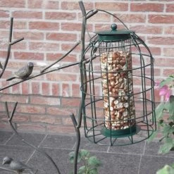 Pindavoedersilo Kleine Vogels - Groen -Garden Pet & Animal Winkel pindavoedersilo kleine vogels 1484052978 3 600