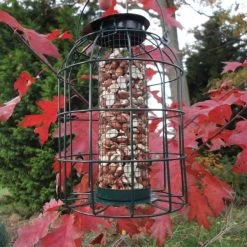 Pindavoedersilo Kleine Vogels - Groen -Garden Pet & Animal Winkel pindavoedersilo kleine vogels 1484052978 4 600