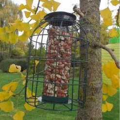 Pindavoedersilo Kleine Vogels - Groen -Garden Pet & Animal Winkel pindavoedersilo kleine vogels 1484052978 5 600