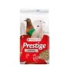 VERSELE-LAGA Prestige Duiven - Tortelduivenvoer - 4 Kg -Garden Pet & Animal Winkel prestige duiven tortelduivenvoer 4kg 1625133725 4 600