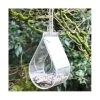 Raamvoederhuis Druppelvorm - Transparant -Garden Pet & Animal Winkel raamvoederhuis druppelvorm transparant 1566910053 1 600