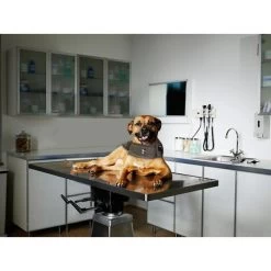 Thundershirt Antistress Voor Honden Grijs - XXS -Garden Pet & Animal Winkel thundershirt antistress xxs 1638184394 3 600