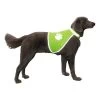 Veiligheidsjas Reflecterend L -Garden Pet & Animal Winkel veiligheidsjas reflecterend l 1511434330 1 600