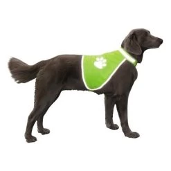 Veiligheidsjas Reflecterend L