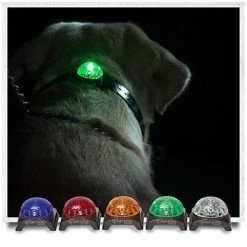Veiligheidslamp Voor Hond En Eigenaar