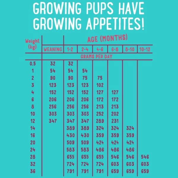 Edgard & Cooper Hondenvoer Puppy Met Verse Scharreleend En Kip - 12 Kg 4 Edgard & Cooper Hondenvoer Puppy Met Verse Scharreleend En Kip - 12 Kg - Afbeelding 2