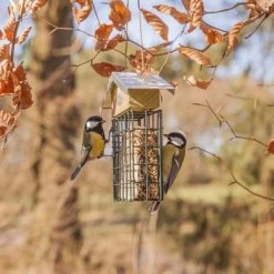 ESSCHERT DESIGN Vetblokhouder Met Zinken Dak -Garden Pet & Animal Winkel vetblokhouder met zinken dak 1548681335 2 600