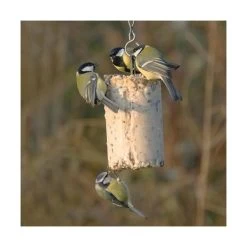 Pindacake Met Insecten